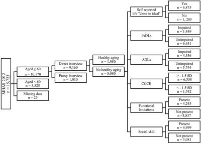 Cognition in older adults with healthy aging: analysis of the Mexican Health and Aging Study 2012–2015